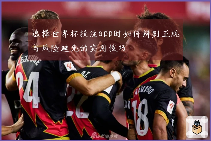 选择世界杯投注app时如何辨别正规与风险避免的实用技巧