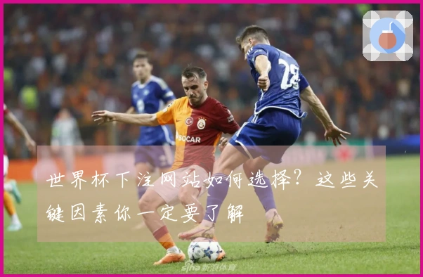 世界杯下注网站如何选择？这些关键因素你一定要了解