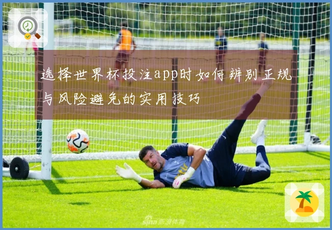 选择世界杯投注app时如何辨别正规与风险避免的实用技巧